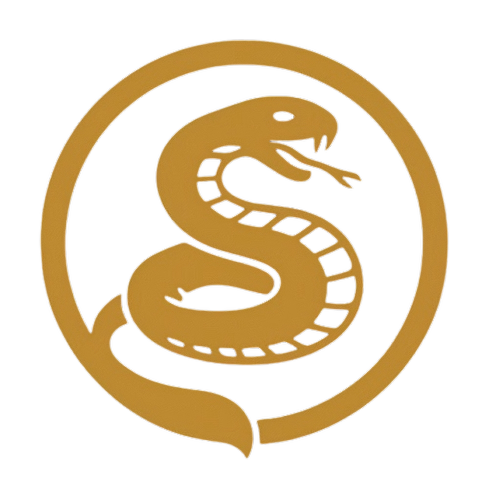 DTOM Bilişim | Bilişim Danışmanlığı Logo